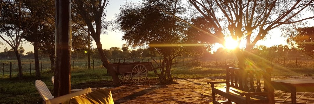 fedeperoni's profile banner image