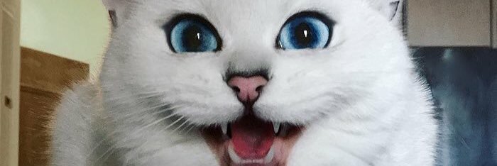 johal91's profile banner image