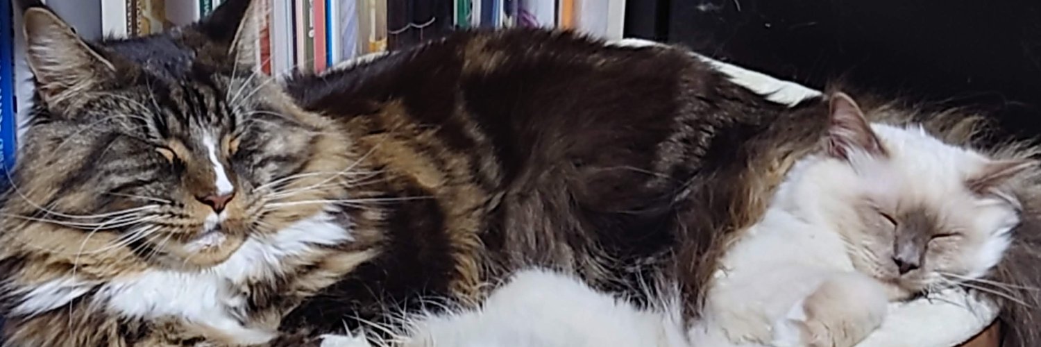 セフィロト banner