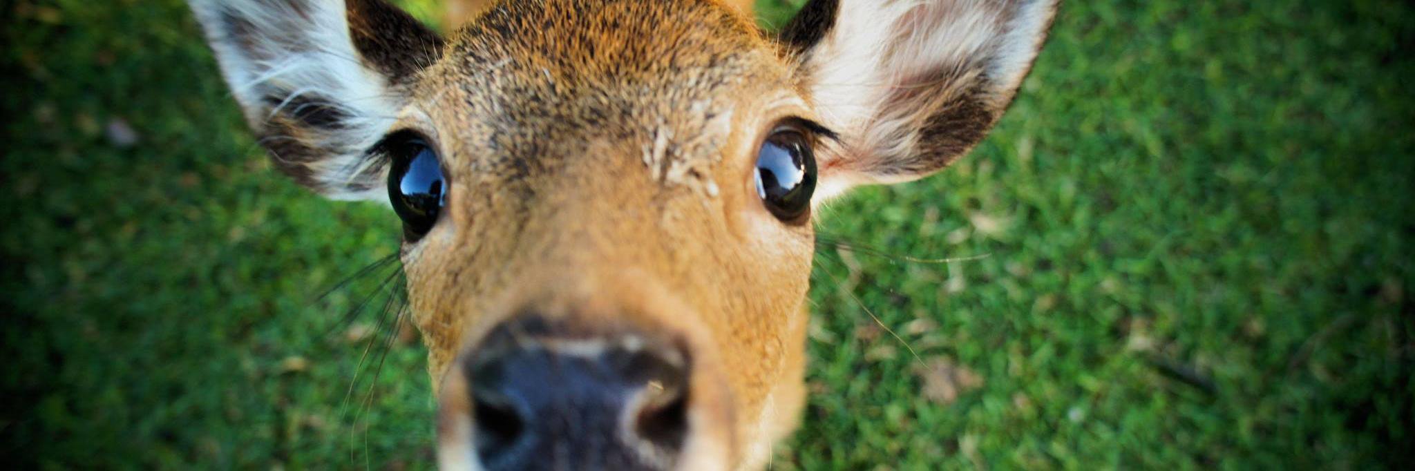 Tison_Mallory's profile banner image
