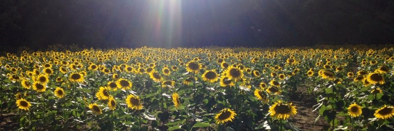 OHIO975's profile banner image
