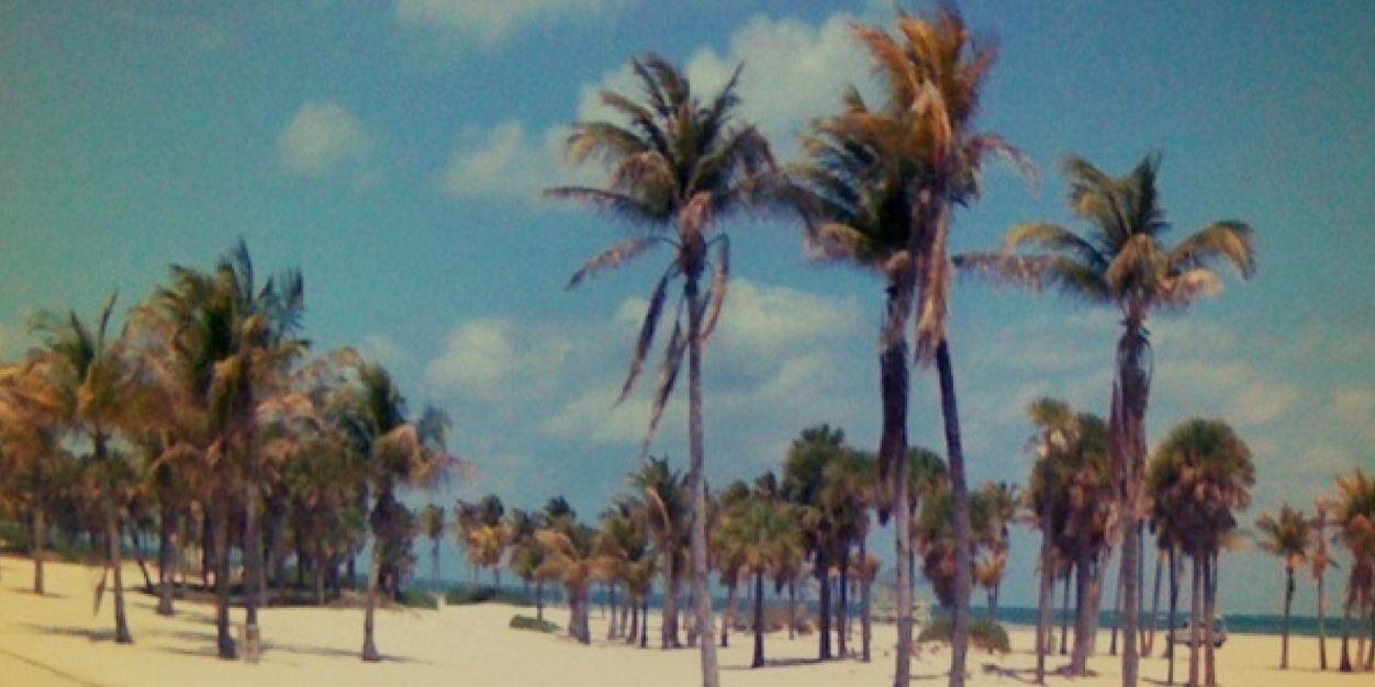 Miami Tech News banner