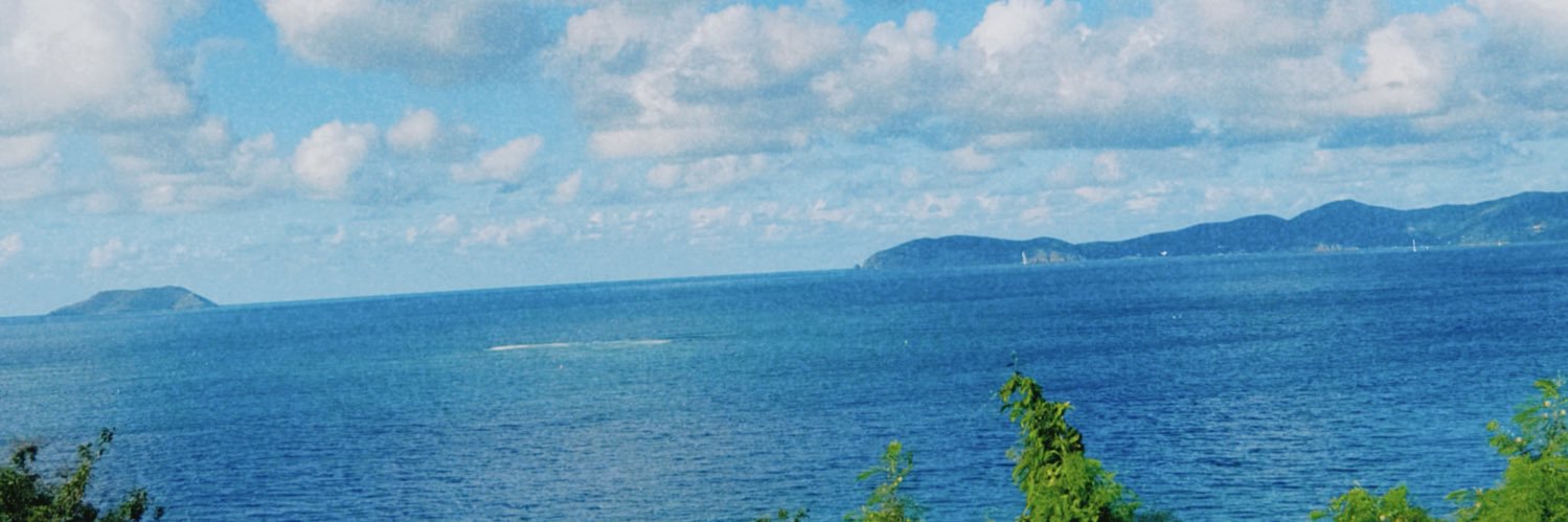 dee banner
