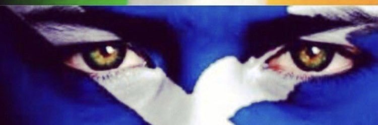 Brawlass🏴󠁧󠁢󠁳󠁣󠁴󠁿Extremist🏴󠁧󠁢󠁳󠁣󠁴󠁿 banner