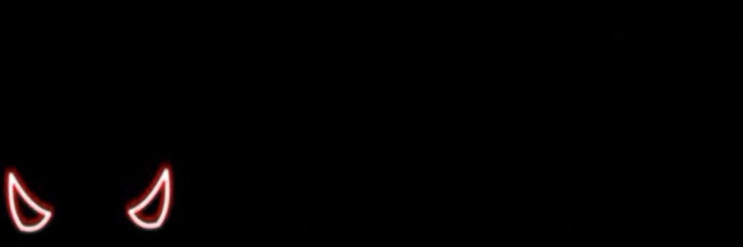 Swagnnerr's profile banner image