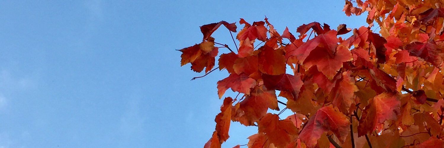 James Edelman banner