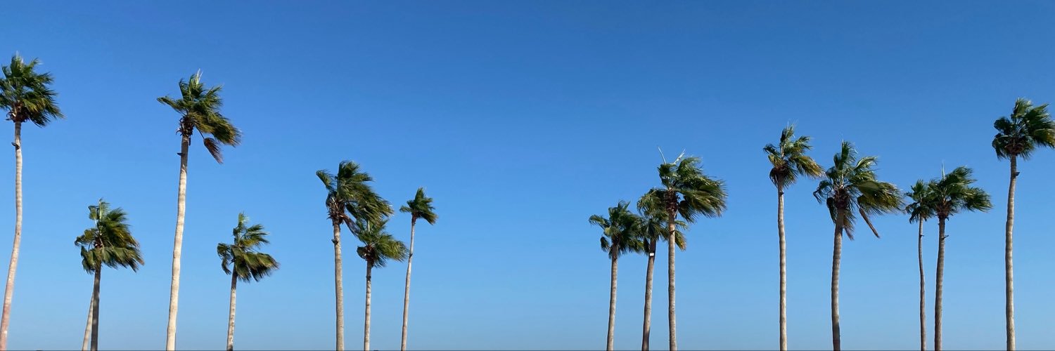 alduraim's profile banner image