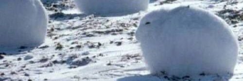 whytrabbit2018's profile banner image