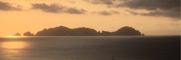 decancora Profile Banner