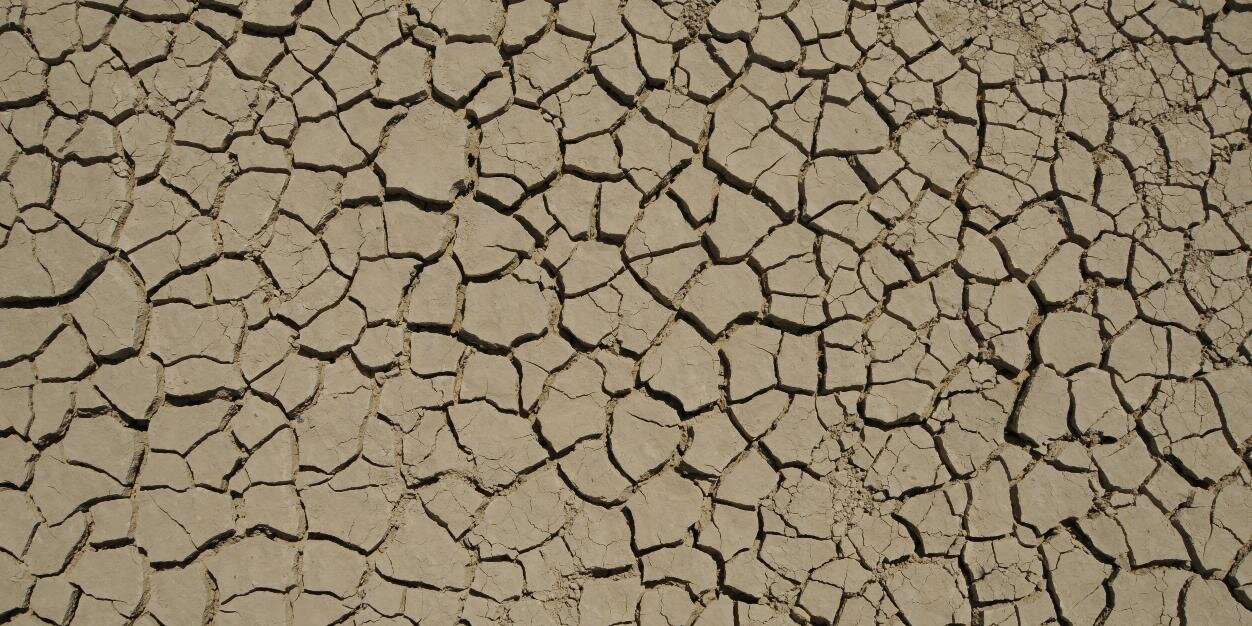 Stefanie Schirmer banner