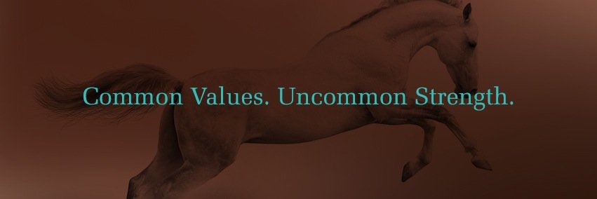 paldevelopments's profile banner image