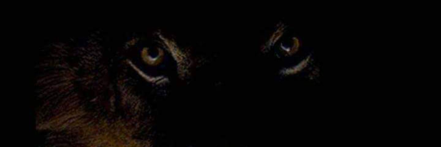 EFM_48's profile banner image