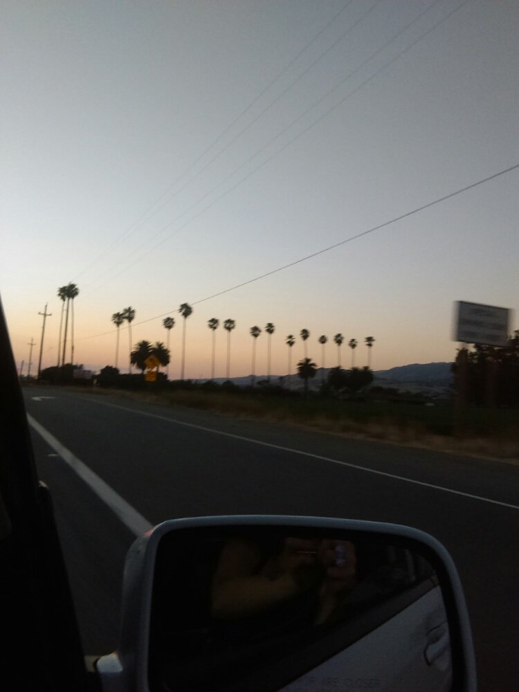 chrissywtf's profile banner image