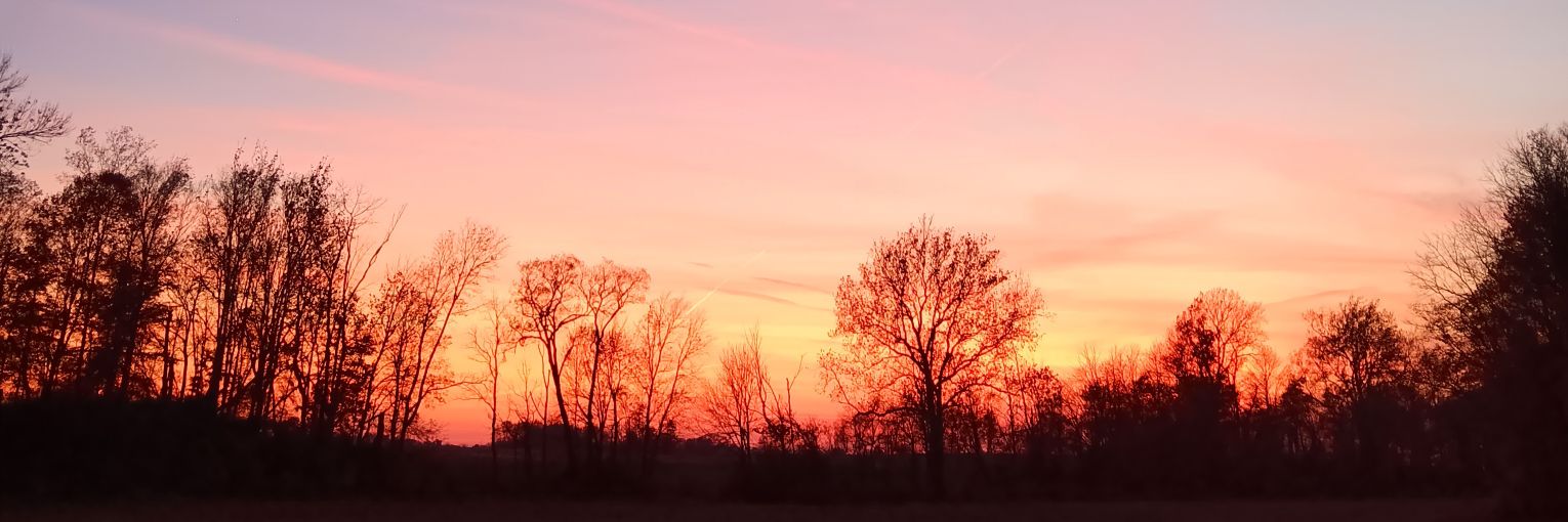 Howl at the Moon banner