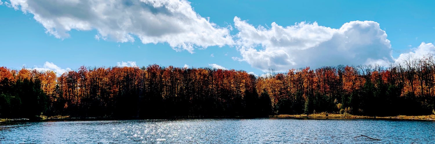 archiword's profile banner image