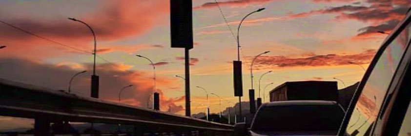 calexandreina's profile banner image