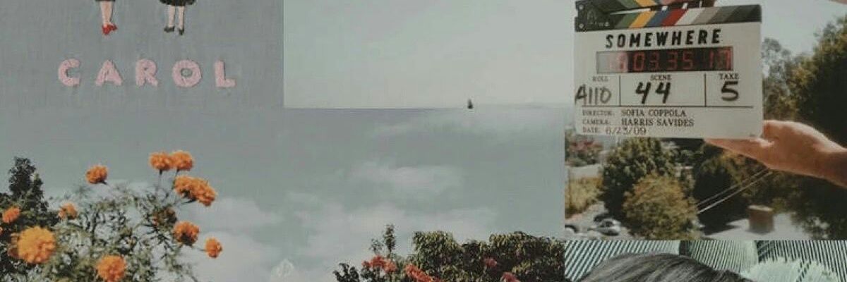 palvinnbara's profile banner image