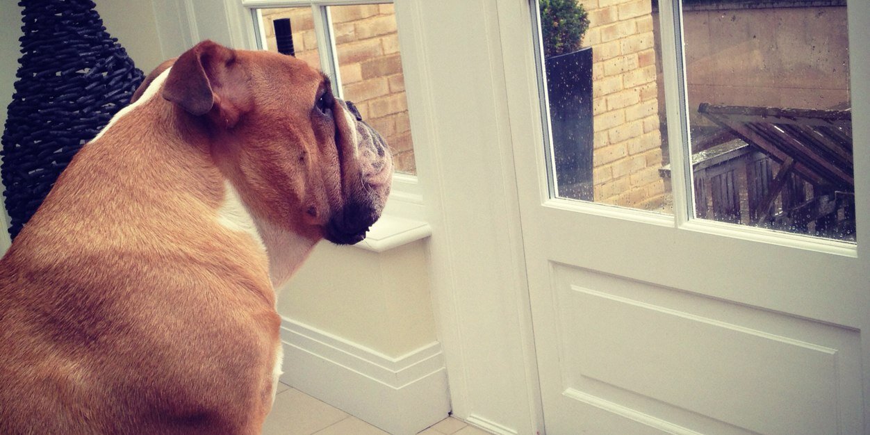 Daisy_Simcox's profile banner image