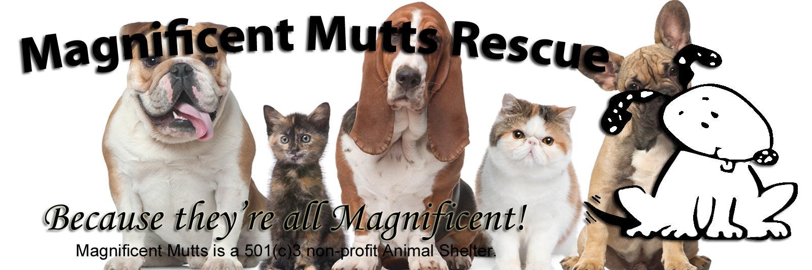 Mag Mutts & Meows banner