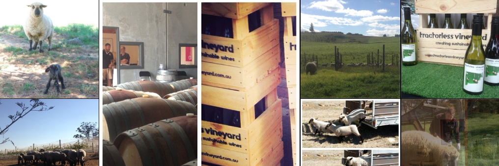 tractorlesswine's profile banner image