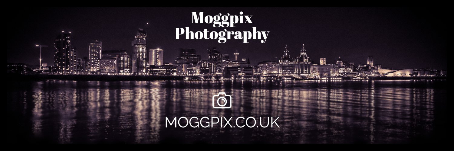 Moggpix Photography banner