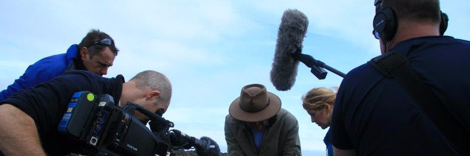 Simon Williams banner