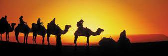 TheDavidDaoud's profile banner image