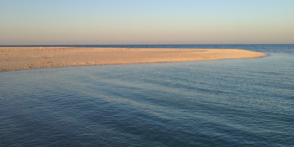 AlphaDiveResort's profile banner image