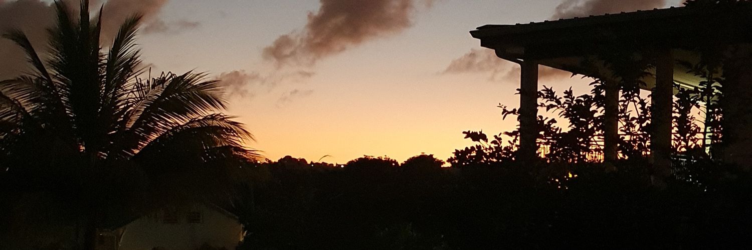 tchapauline's profile banner image
