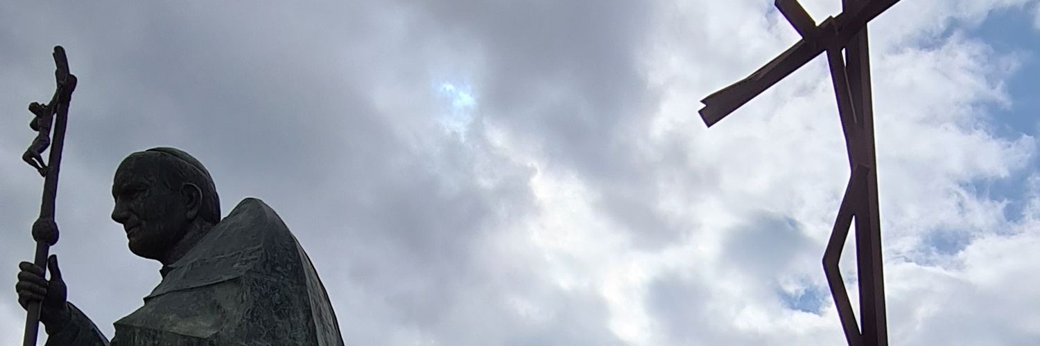 pmarques711's profile banner image
