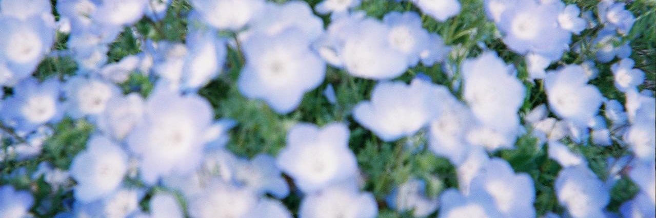 sn_m09's profile banner image