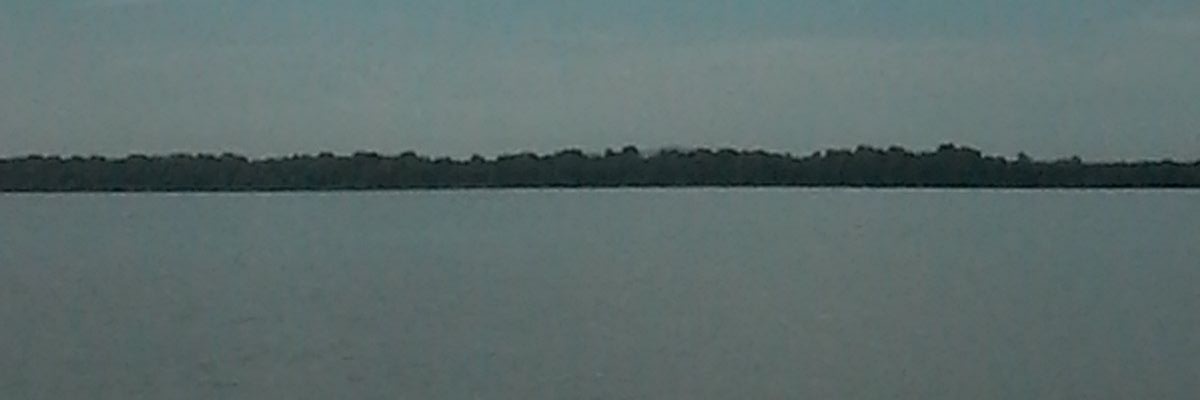 nilli321's profile banner image