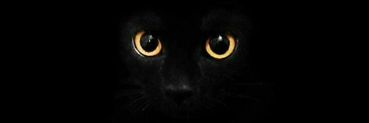 MelyAcostaa's profile banner image