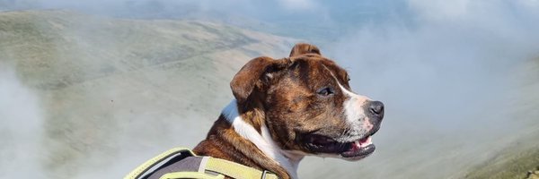 callum_codes Profile Banner
