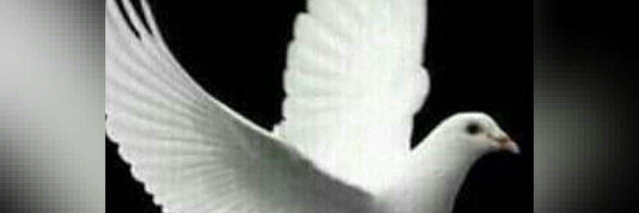 medmarkson's profile banner image