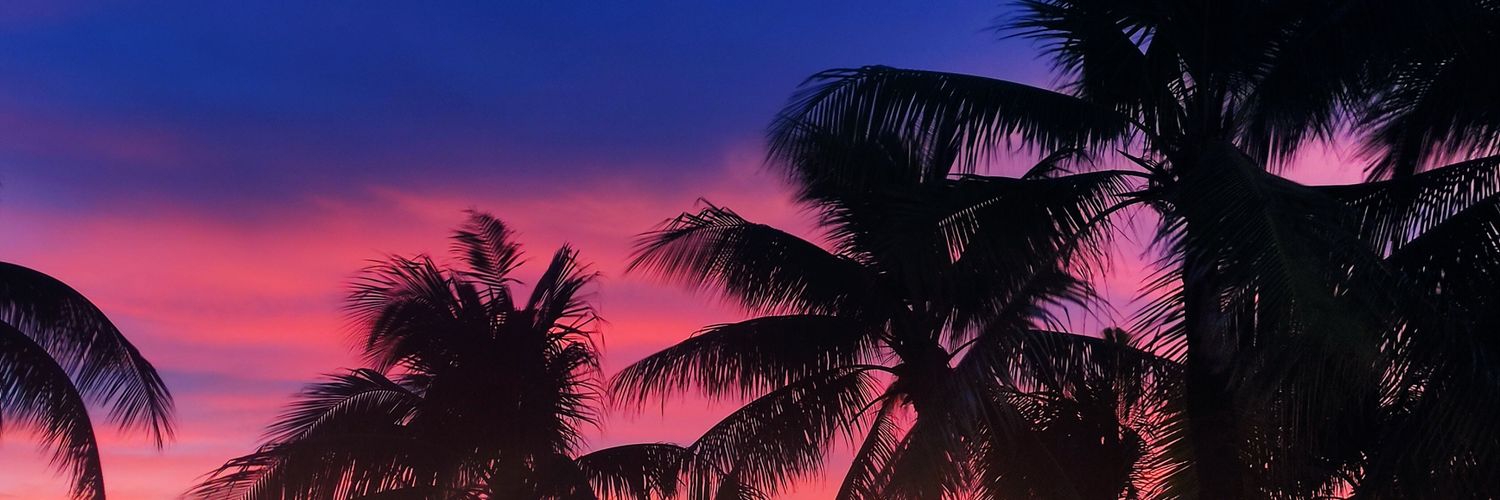 biaslr's profile banner image