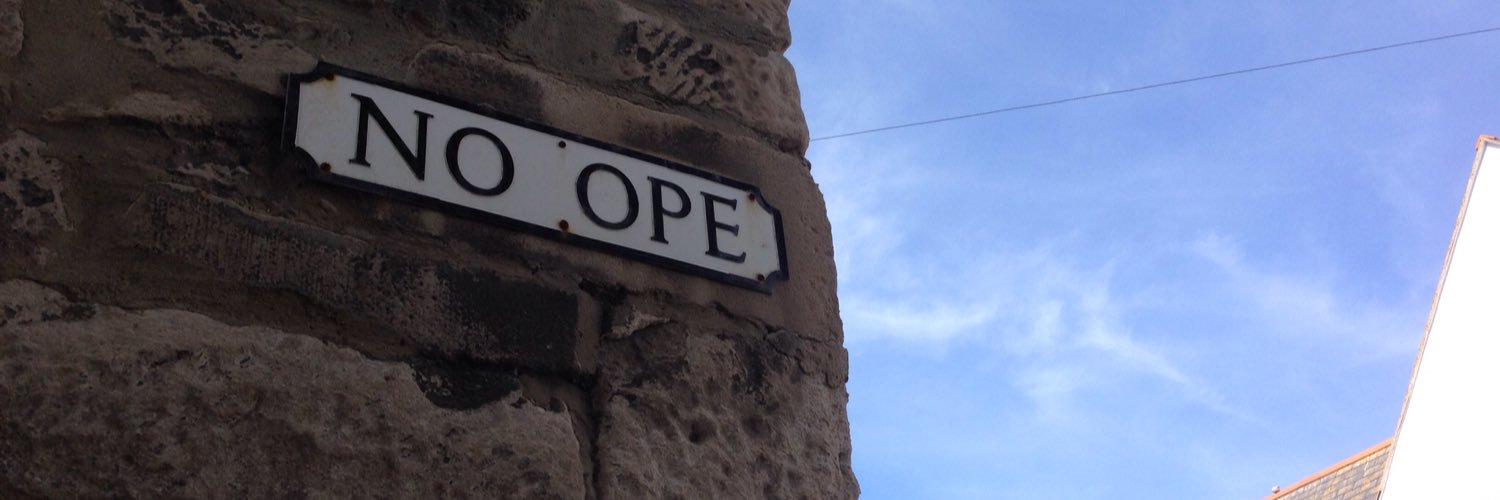 debbie adele cooper banner