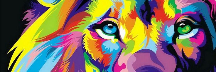 stephiryan's profile banner image