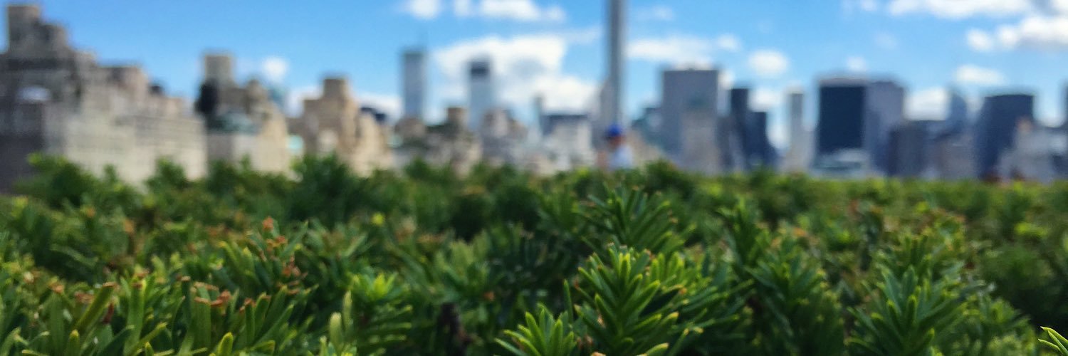 TylerFN's profile banner image