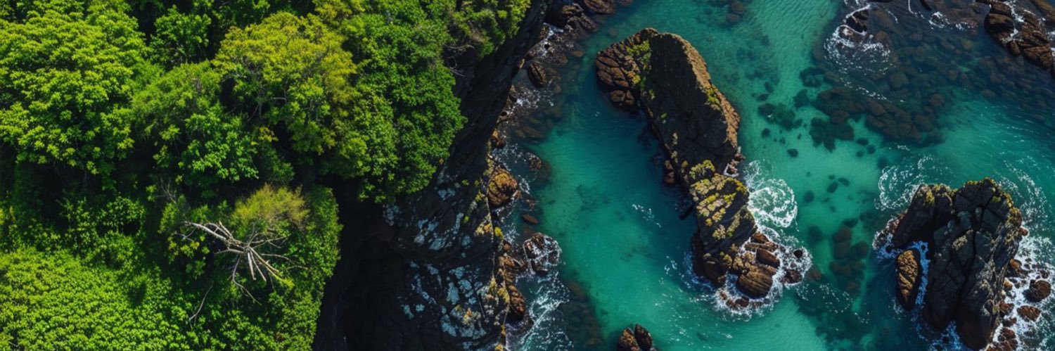 Toluklar🏴🇩🇪🇬🇧 banner