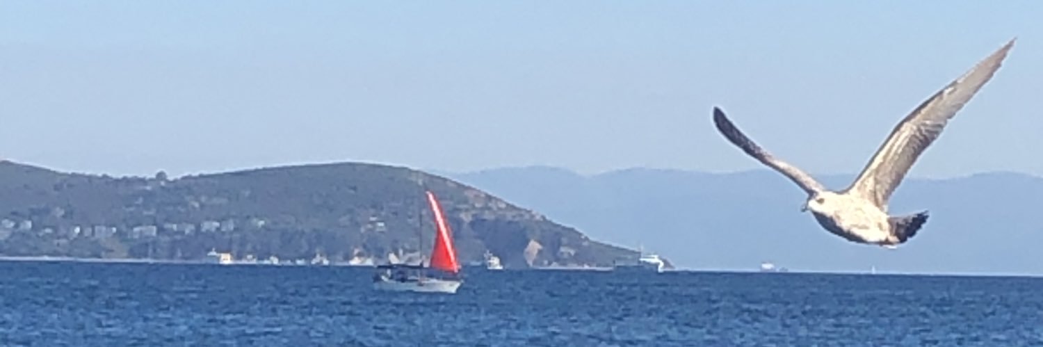 Seda Sınay banner