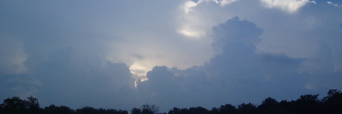 BJG (aka Beagle owner) banner