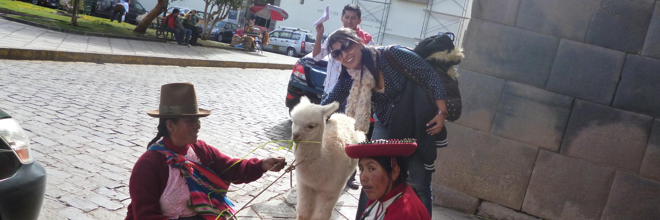SILVIA NATALIA RC. banner