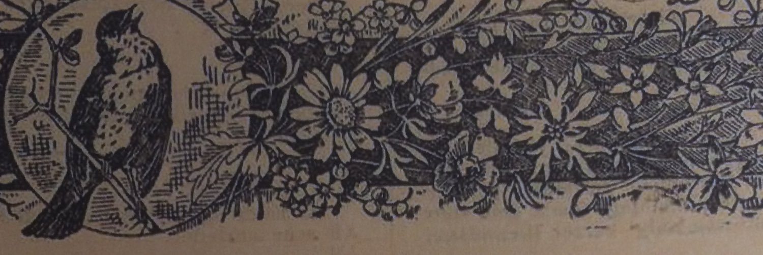 tinsbeans's profile banner image