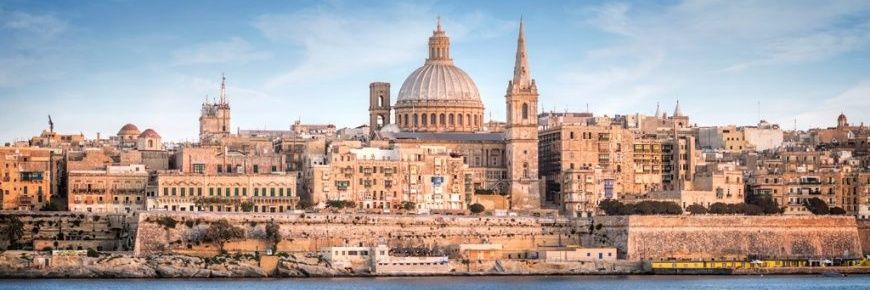 BorderMaltese's profile banner image