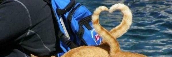 _soomtw's profile banner image
