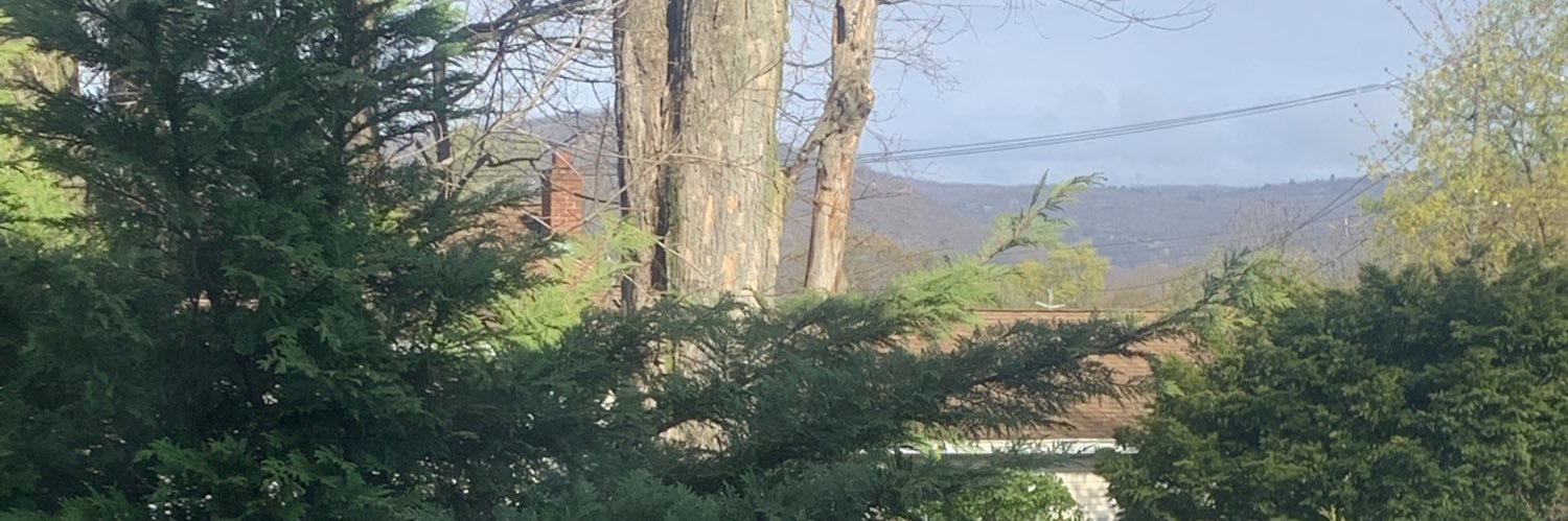 JFlo845's profile banner image