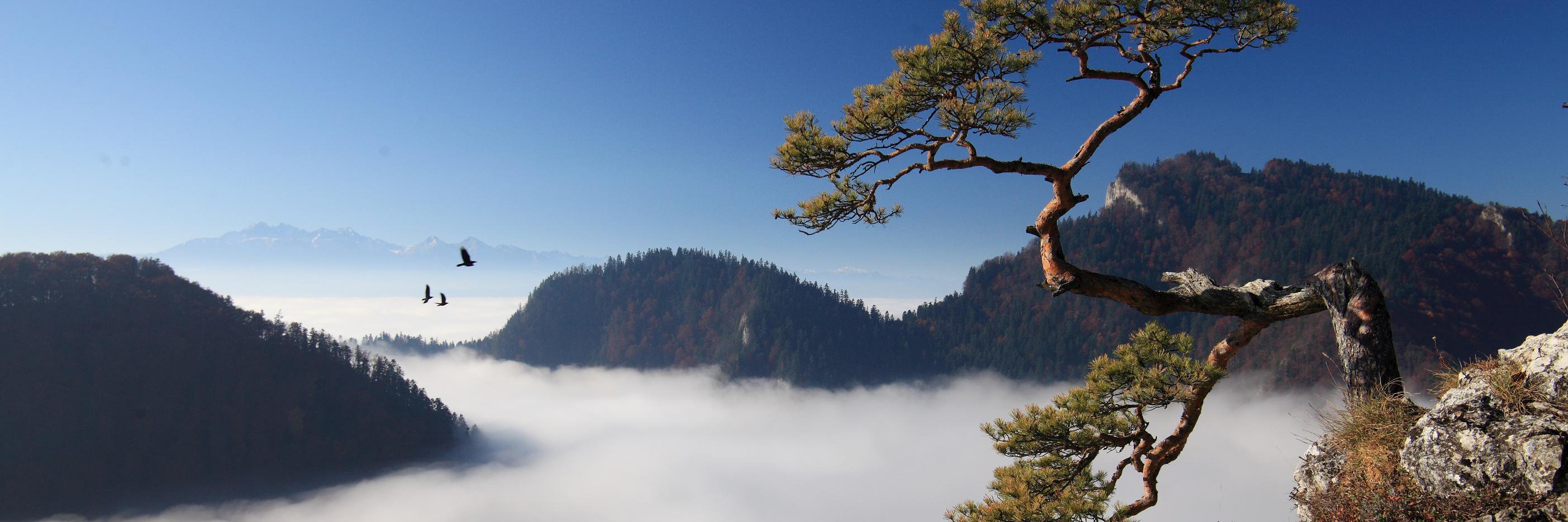 LeszekZegzda's profile banner image