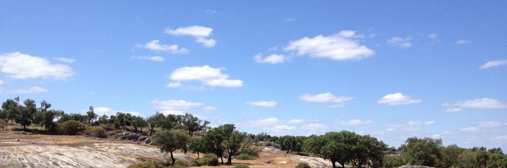 Iris Hendrickx banner