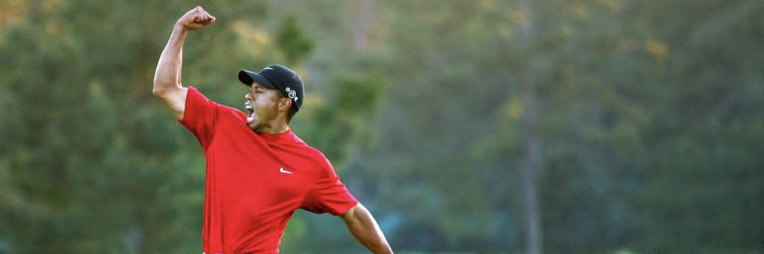 Anthony de Silva banner